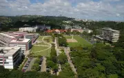 UFMG é a universidade com maior impacto em sustentabilidade da América do Sul