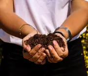 Usina verde transforma alimentos desperdiçados em adubo em Campinas