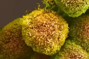 Vacina de mRNA contra câncer de pâncreas mostra resultados promissores