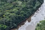 Vazamento de óleo no Rio Cupari ameaça Tapajós; ICMBio e Marinha agem