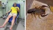 Vereador é picado por escorpião ao assistir jogo da seleção