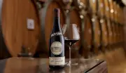 Vinhos de Meditação: O Melhor do Mundo Segundo James Suckling