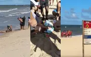 Vítimas de ataques de tubarão no Grande Recife seguem na UTI do HR