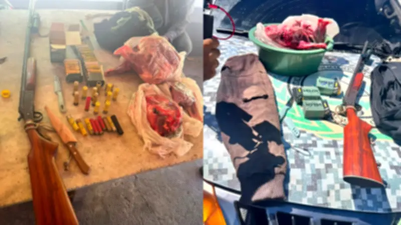 Animais silvestres abatidos em freezer; homem preso em Teresina