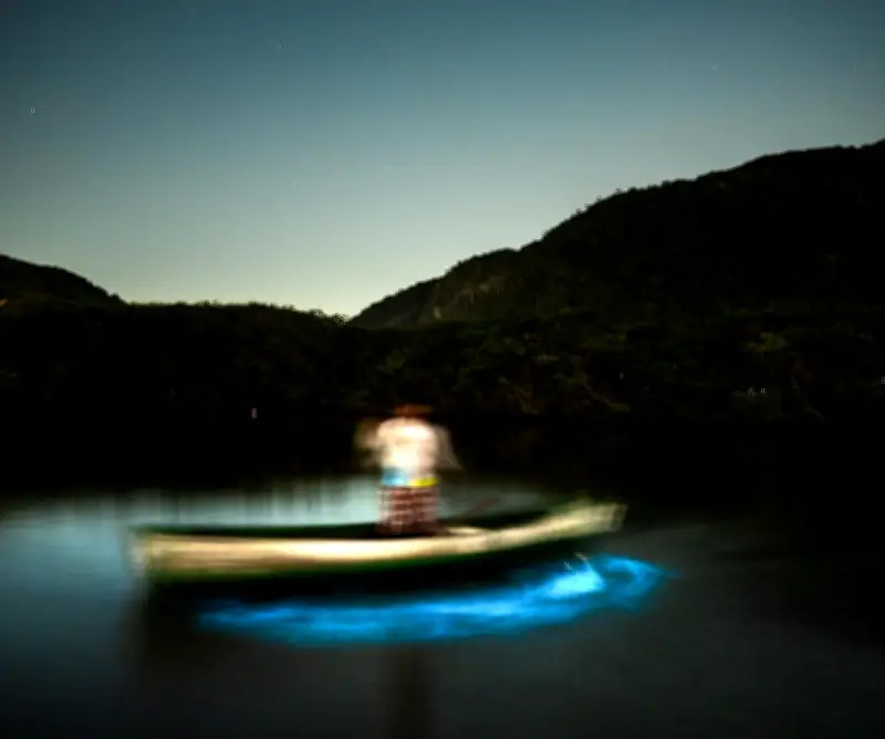 Bioluminescência na Lagoa de Piratininga encanta e preocupa pescadores