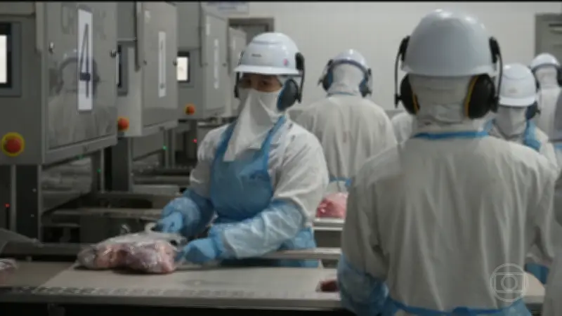 Brasil atinge 98,5% da cota chinesa de carne e frigoríficos reduzem abates