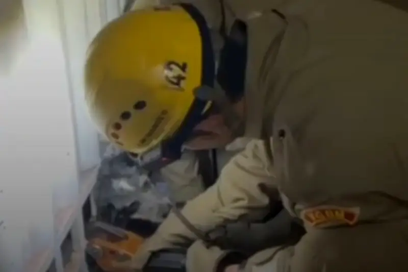 Cachorro com cabeça presa em portão é resgatado por bombeiros em MS