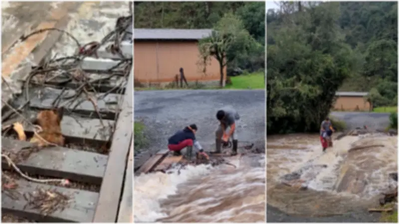 Cachorro preso em ponte de madeira é resgatado com motosserra em SC