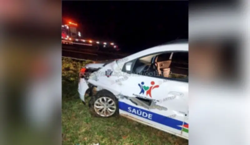 Capivara invade pista e causa acidente com carro da Prefeitura de Piquerobi