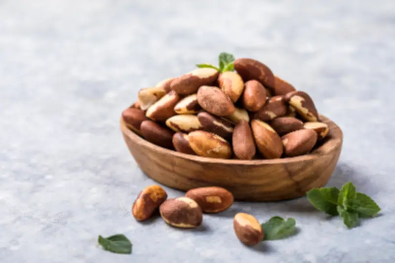 Castanha-do-Pará: benefícios, riscos e receitas imperdíveis