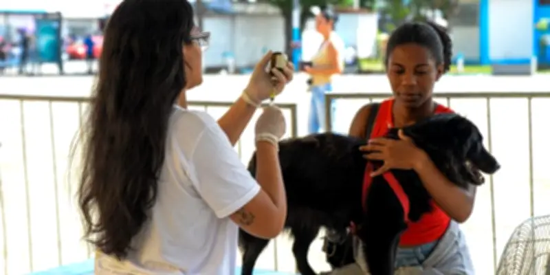 Castra Mais RJ: castração gratuita de cães e gatos em Cabo Frio