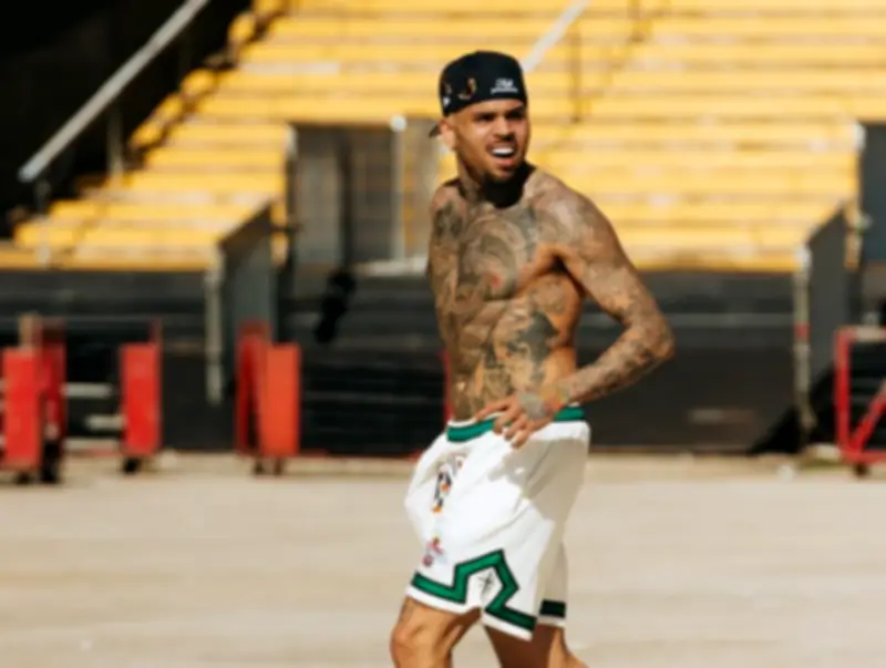 Chris Brown condenado a pagar R$ 67 milhões por ataque de cão a funcionária