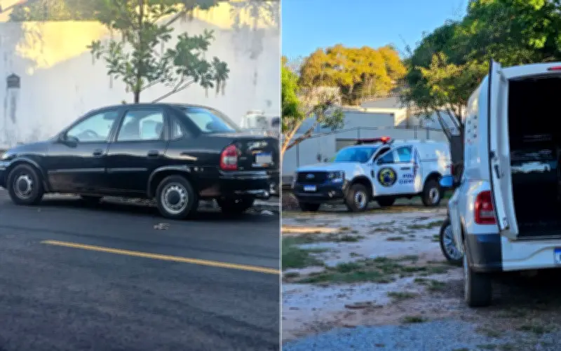 Cinco filhotes resgatados de porta-malas sob sol forte em Goiânia