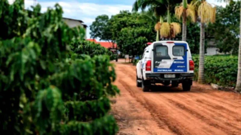 Colheita no Norte do ES: produtores mudam rotina por medo de furtos
