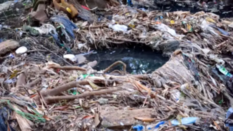 Contaminação no Parque do Sabiá: laudo aponta risco de colapso ecológico