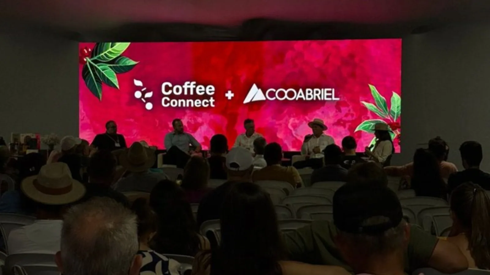 Cooperativas de café são destaque no Coffee Connect 2025