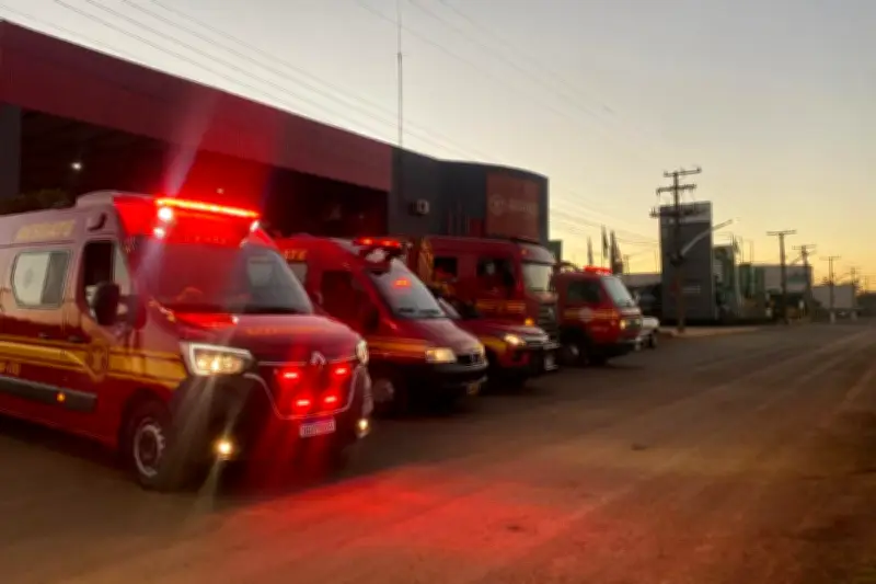 Criança de 1 ano morre afogada em tanque de peixes em MS