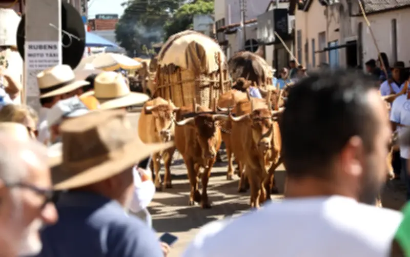 Desfile de carros de boi reúne mais de 500 veículos na Romaria do Divino Pai Eterno