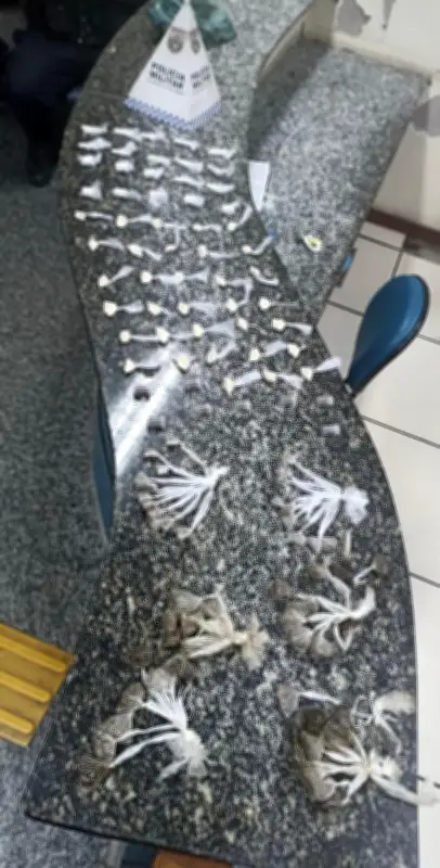 Drogas são apreendidas em terreno baldio em Vassouras, RJ
