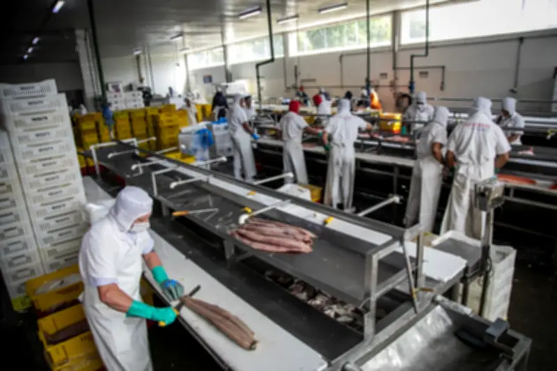 Escassez de mão de obra é alerta para economia