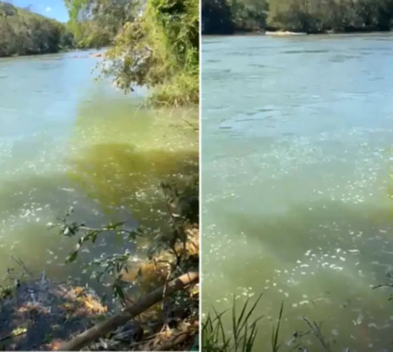 Espuma e mau cheiro no Rio Pomba preocupam moradores no Noroeste Fluminense