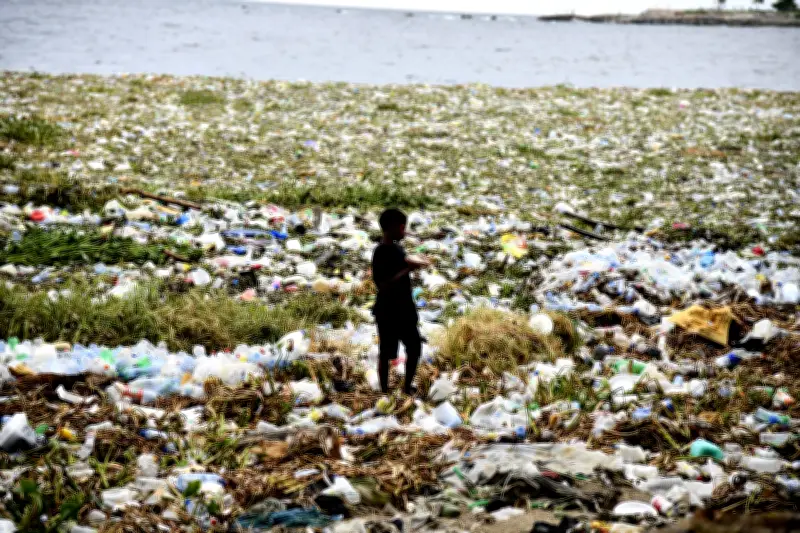 Estudo revela sumidouros de plástico no Caribe colombiano