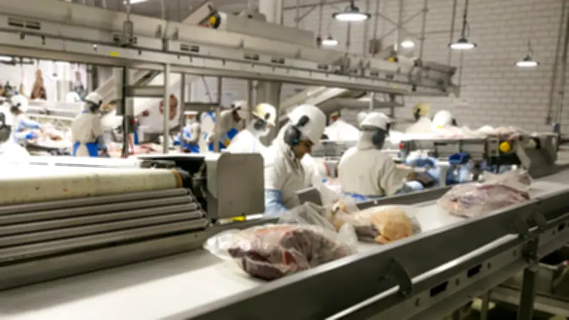 Expo+Indústria 2026: Fiep aposta em produtividade para impulsionar indústria do PR