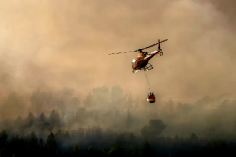 França: incêndio florestal após calorão força evacuação de 3 mil