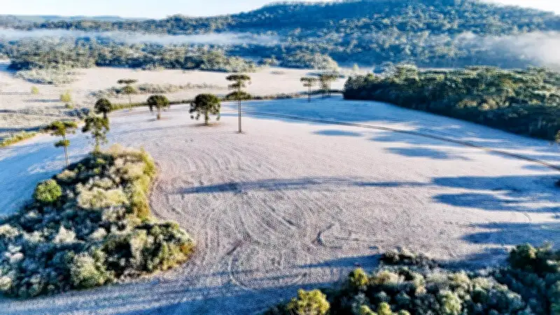 Frio e geada retornam ao Paraná nesta semana, alerta Simepar