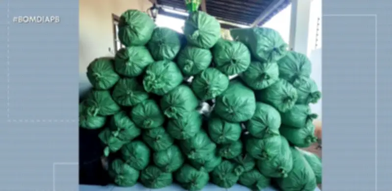 Homem é preso com mais de 400 kg de maconha em Sumé, PB