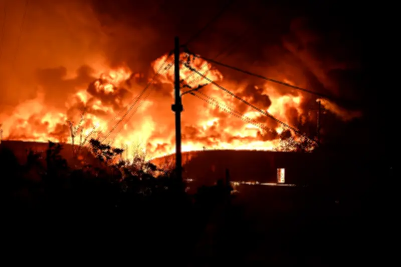 Incêndios florestais atingem Portugal, Grécia e Espanha neste domingo