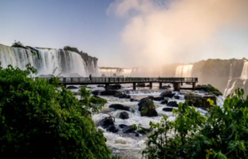 Inverno transforma Parque do Iguaçu com águas cristalinas e floração única