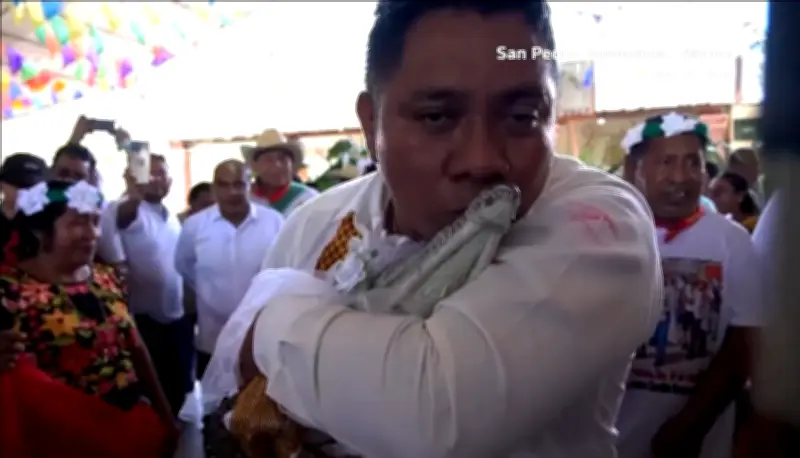 Jacaré é noiva em casamento tradicional no México