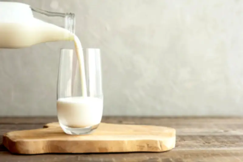 Leite sem lactose vs. leite vegetal: entenda as diferenças e usos