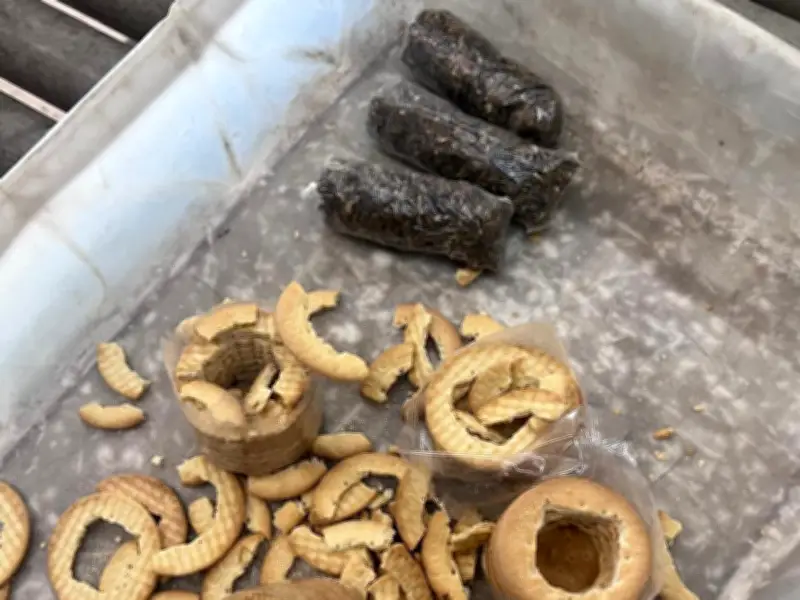 Maconha escondida em bolachas é apreendida em presídio do Acre