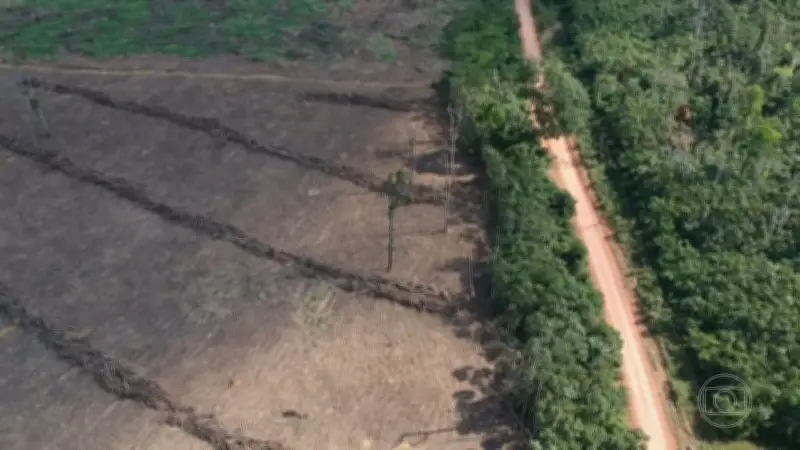 Maranhão tem pior acesso à informação ambiental na Amazônia Legal, aponta IDA 2026
