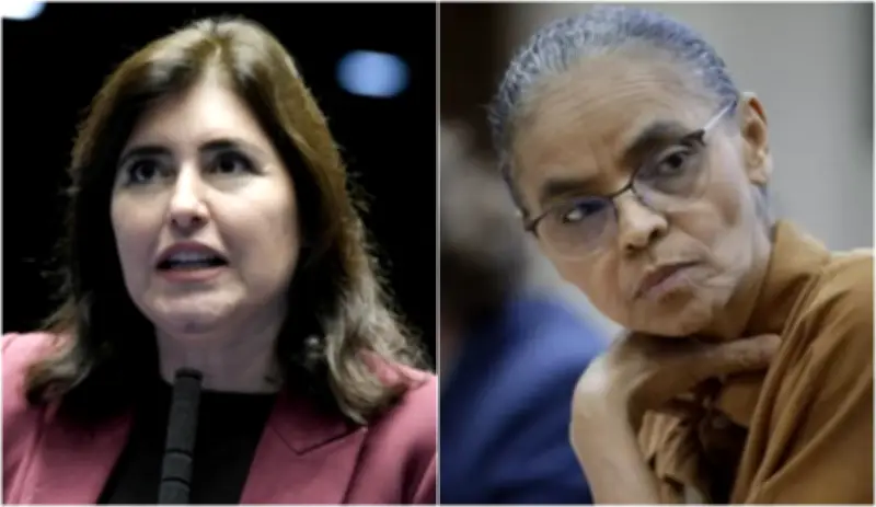 Marina Silva e Simone Tebet lideram intenções de voto para o Senado em SP, aponta Datafolha