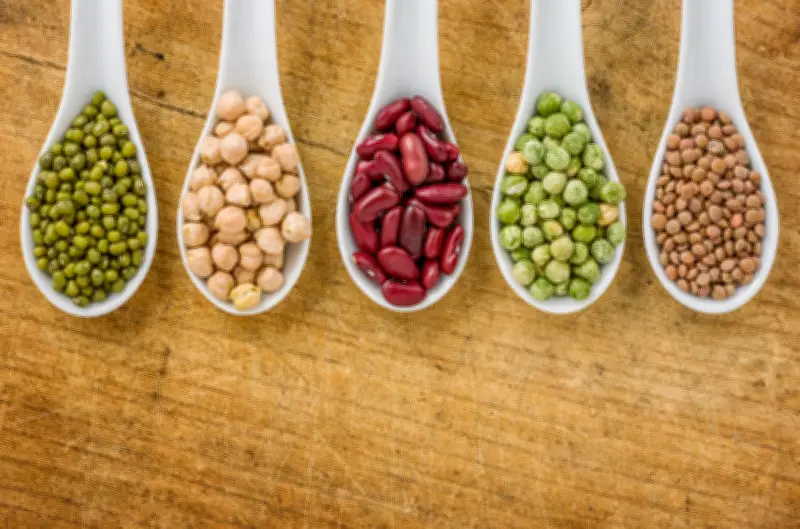 Melhores fontes de proteína: leguminosas, oleaginosas e carnes