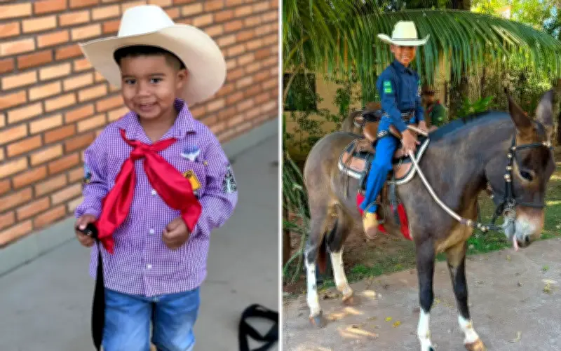 Menino de 7 anos reencontra mula perdida durante Romaria de Trindade