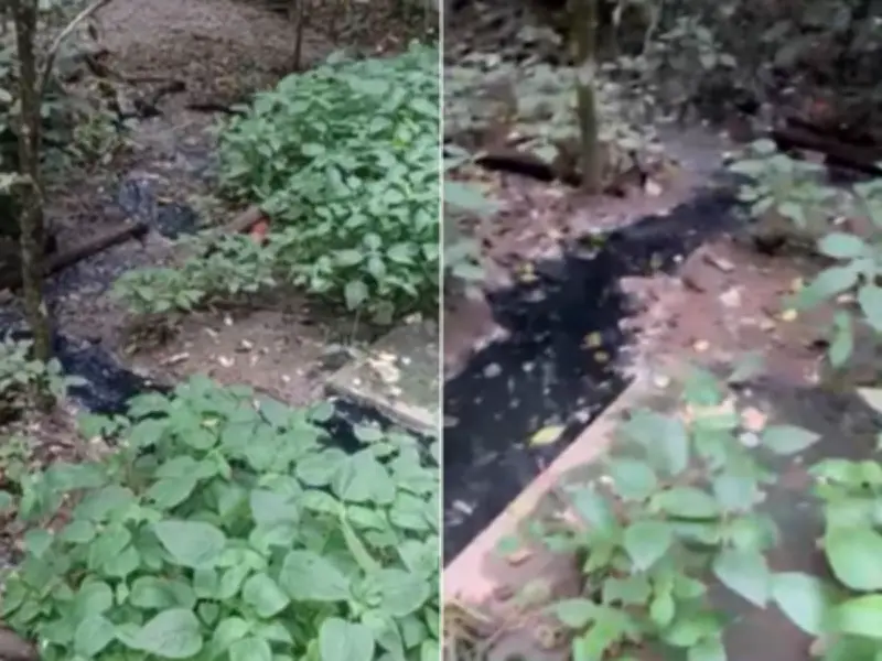 Moradores denunciam tratamento irregular de lixo em Itanhaém, SP