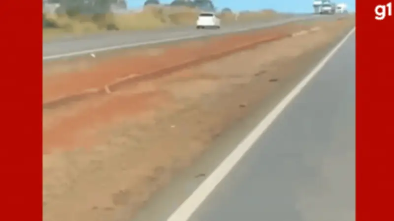 Motorista embriagado preso após dirigir na contramão e bater em carreta na BR-364