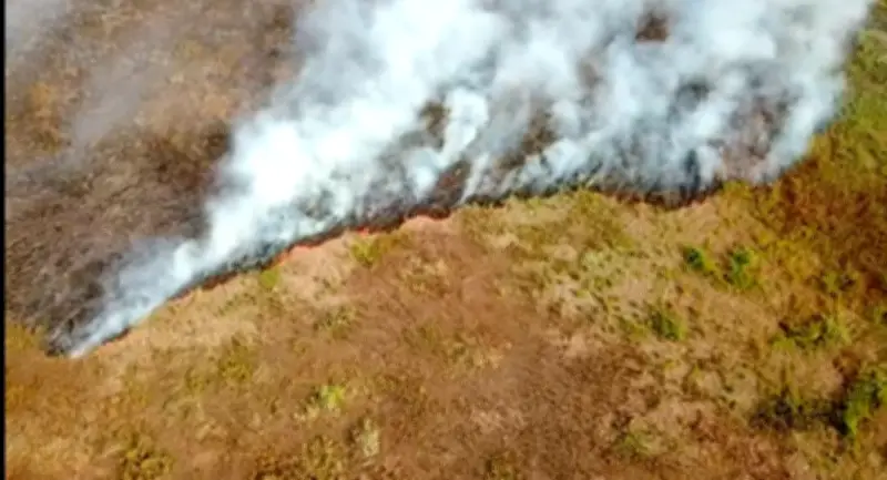 MT proíbe queimadas a partir de hoje; multas e crime ambiental para infratores