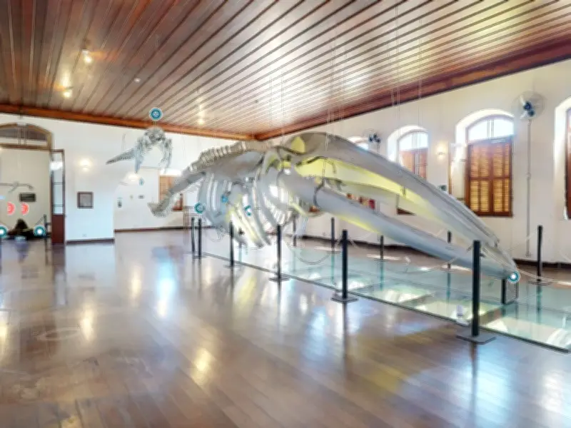 Museu de Pesca de Santos oferece visitação virtual gratuita em 3D