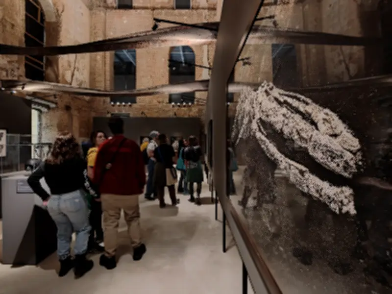 Museu Nacional atrai 10 mil visitantes com réplica de dinossauro