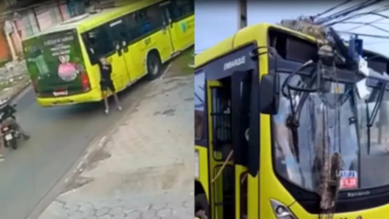 Ônibus bate em poste durante assalto na Estrada da Mata em São Luís
