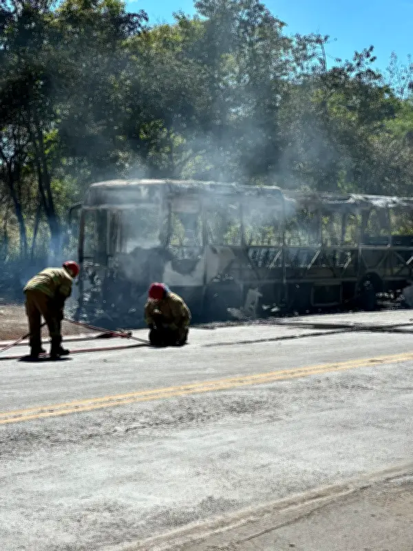 Ônibus pega fogo na BR-365 em Montes Claros e fica destruído