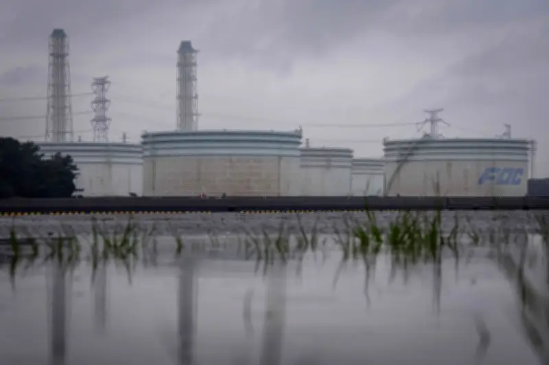 Opep+ eleva produção de petróleo em 188 mil barris diários após trégua EUA-Irã