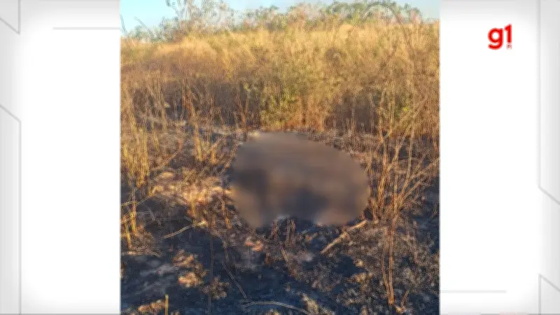 Ossada humana é achada durante combate a incêndio em Corrente, PI