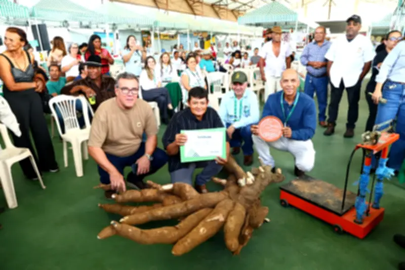 Pé de mandioca de 66,4 kg vence concurso e agricultor ganha R$ 2 mil na Expomontes