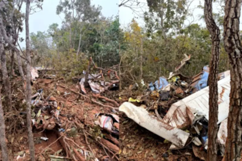 Pesquisadora alemã e piloto morrem em queda de avião em MS